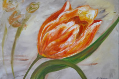 GS_002_Tulpe