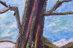 GS_008_Alter-Baum